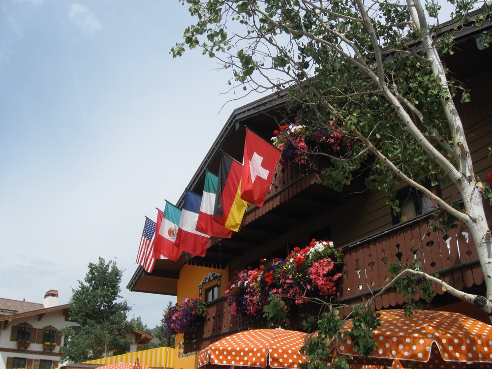 card - 20090813_103752