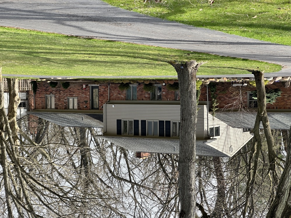 card - 20240410_112350