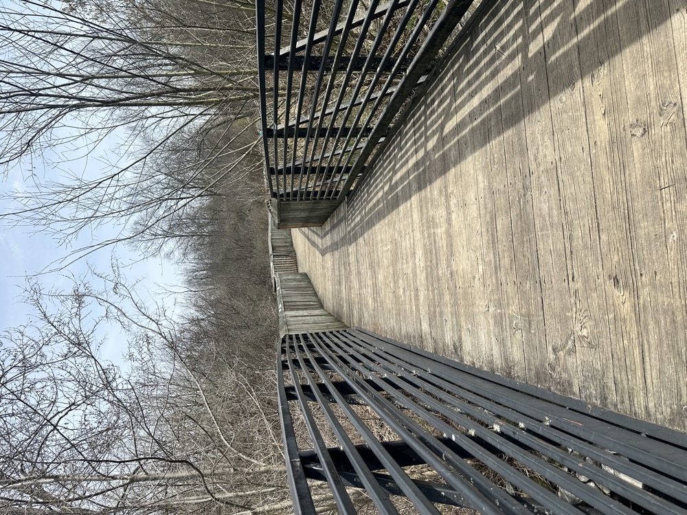 card - 20240410_133756