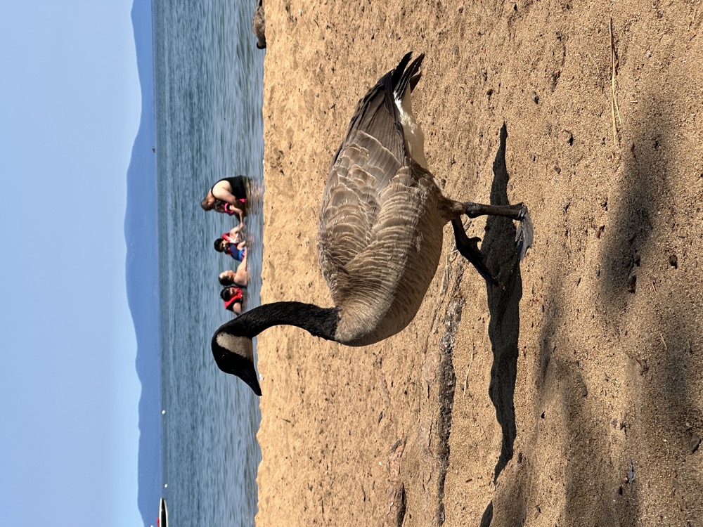 card - 20240718_101923