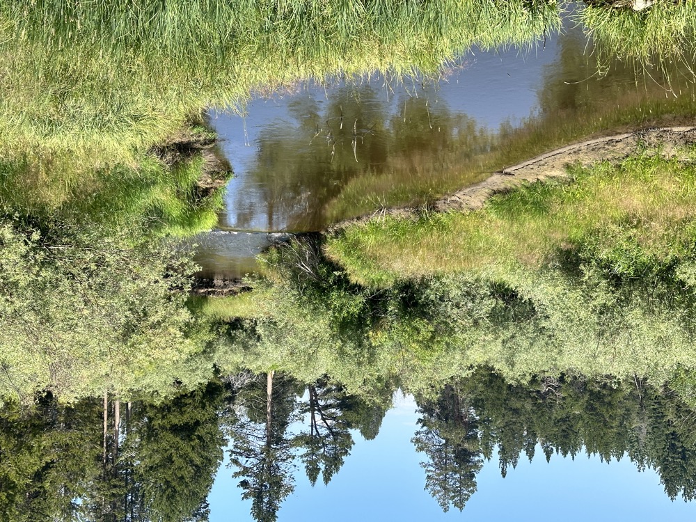 card - 20240720_122535