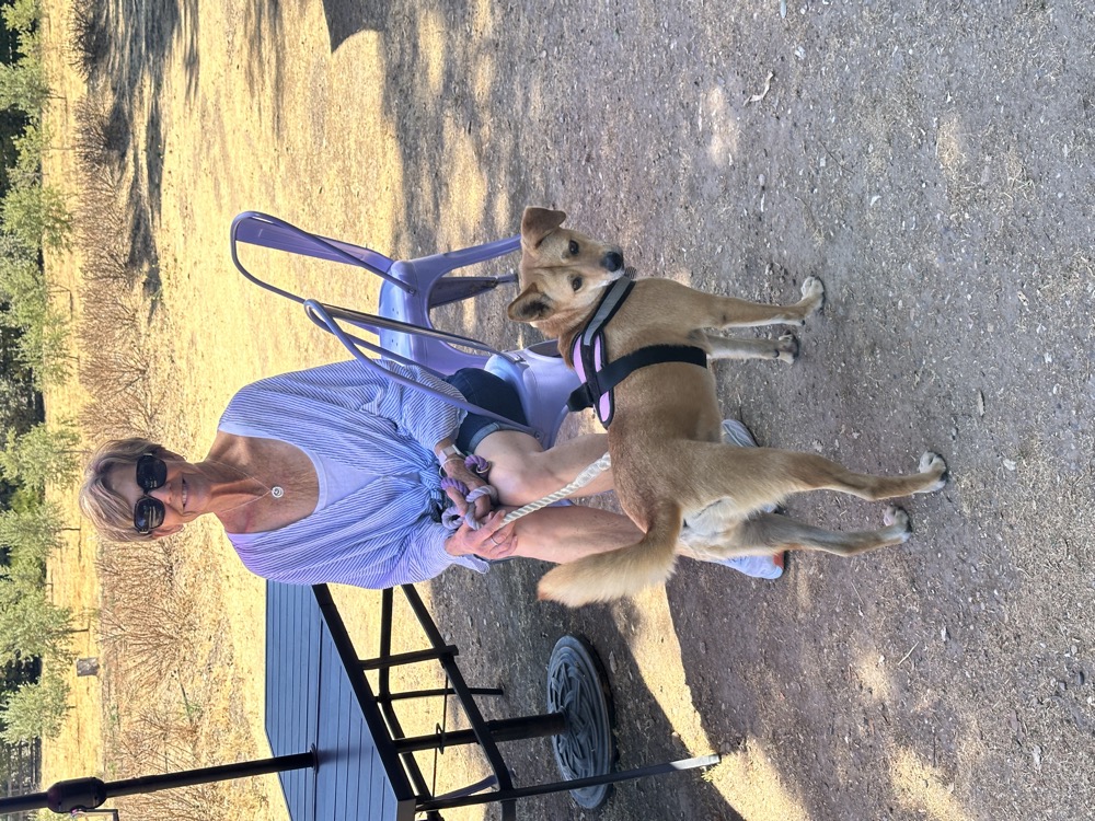 card - 20240817_121614