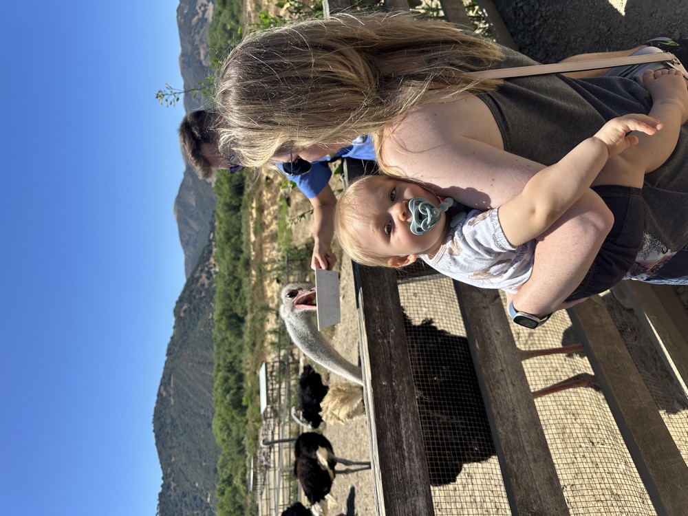 card - 20240817_125809