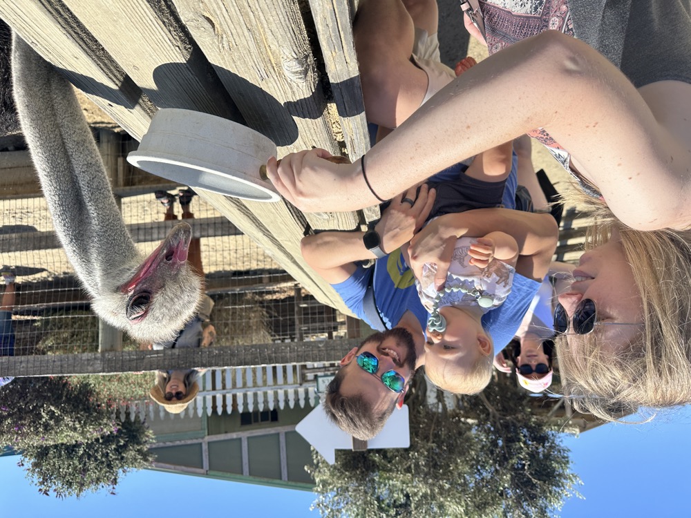 card - 20240817_125940