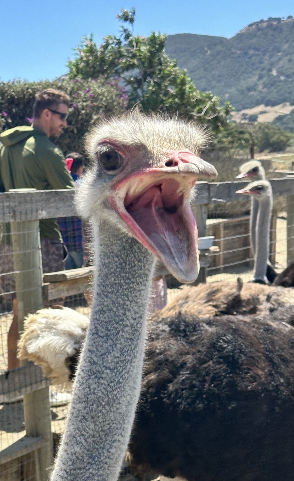 card - 20240817_130014