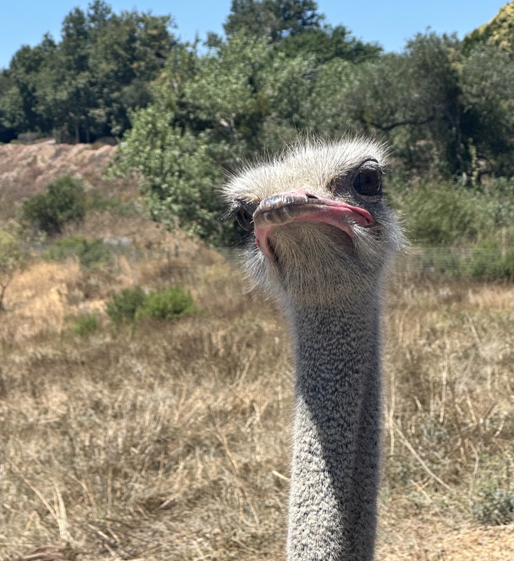 card - 20240817_130407