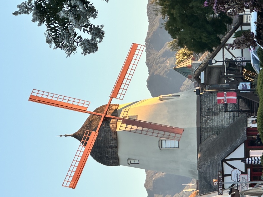 card - 20240818_192812