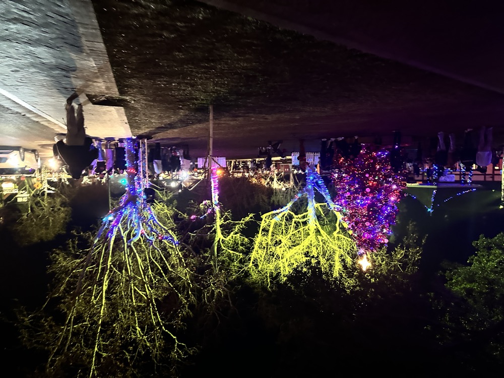 card - 20241227_185213