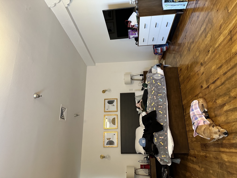 card - 20241229_103019